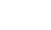 BORNTOWIN logo