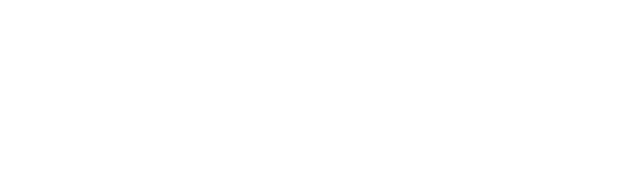 FREEDOM logo