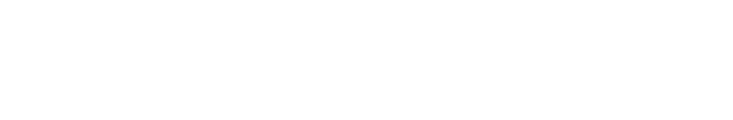 NS PROTEIN logo